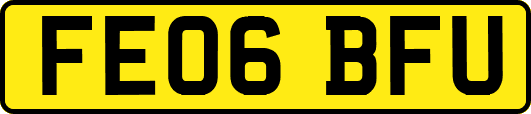 FE06BFU