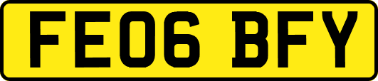 FE06BFY