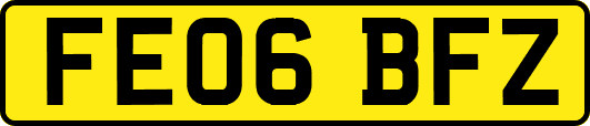 FE06BFZ
