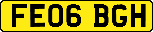 FE06BGH
