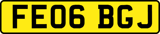 FE06BGJ