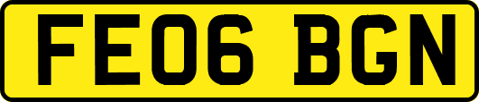 FE06BGN