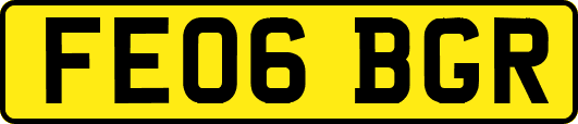 FE06BGR