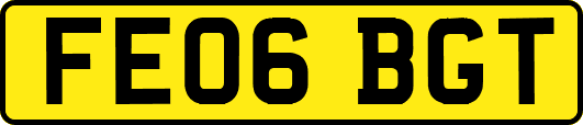FE06BGT