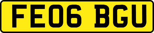 FE06BGU