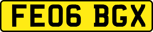 FE06BGX