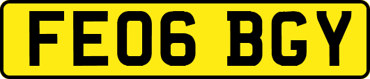 FE06BGY