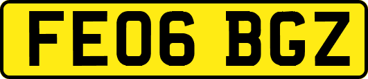 FE06BGZ