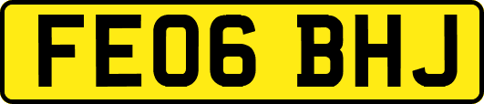 FE06BHJ