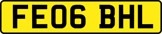 FE06BHL