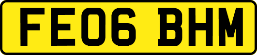 FE06BHM