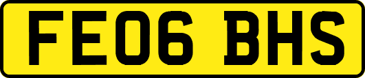 FE06BHS