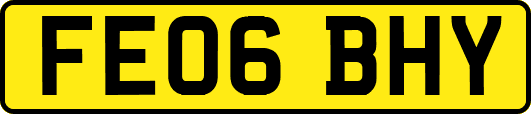 FE06BHY