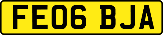 FE06BJA