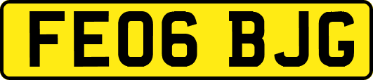 FE06BJG