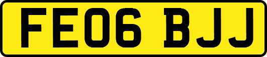 FE06BJJ