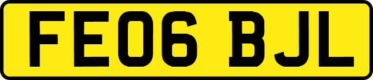 FE06BJL