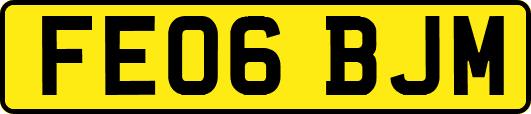 FE06BJM