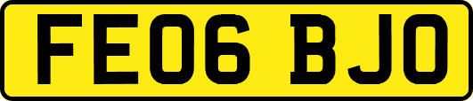 FE06BJO