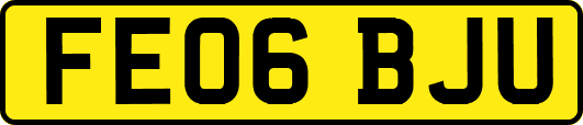 FE06BJU