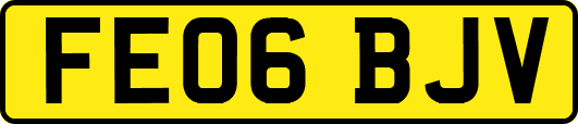 FE06BJV