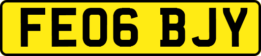 FE06BJY