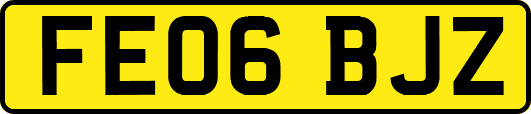 FE06BJZ