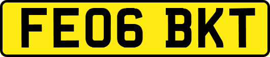 FE06BKT