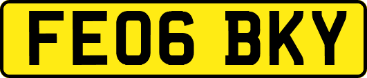 FE06BKY