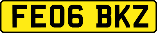 FE06BKZ