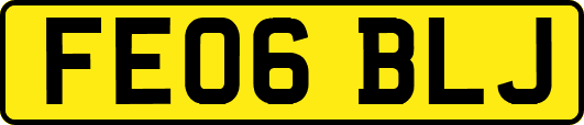 FE06BLJ