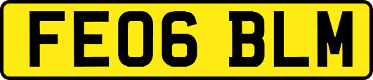 FE06BLM