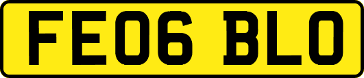 FE06BLO