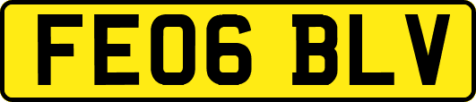 FE06BLV