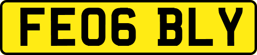 FE06BLY