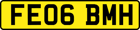 FE06BMH
