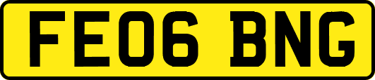 FE06BNG
