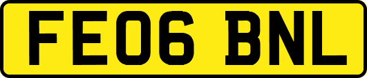 FE06BNL