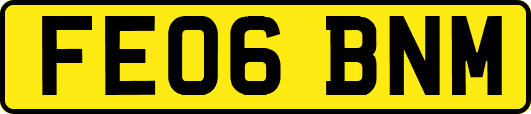 FE06BNM