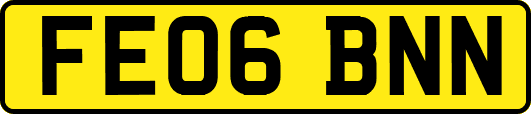 FE06BNN