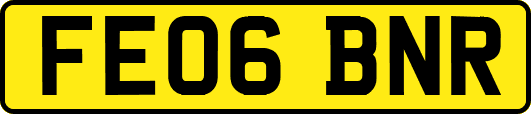 FE06BNR