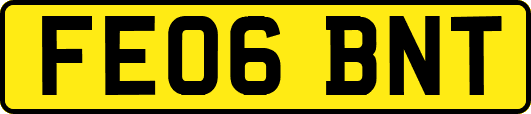 FE06BNT