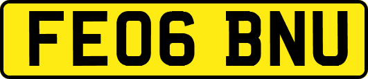 FE06BNU