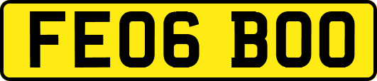 FE06BOO