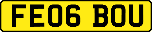 FE06BOU