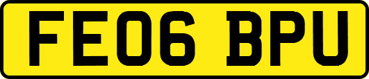 FE06BPU