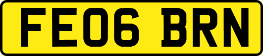 FE06BRN