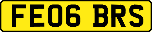 FE06BRS