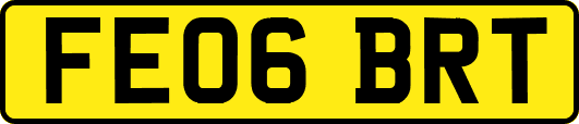 FE06BRT