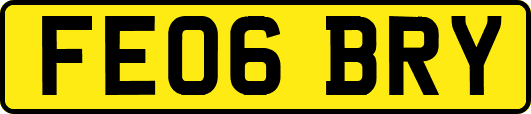 FE06BRY